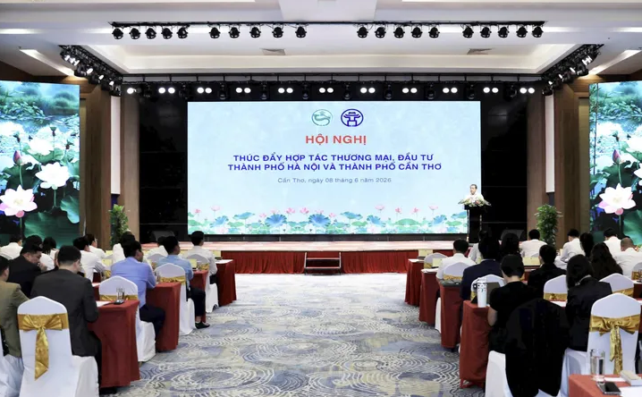 Thuê xe phục vụ hội nghị, hội thảo tại Cần Thơ  