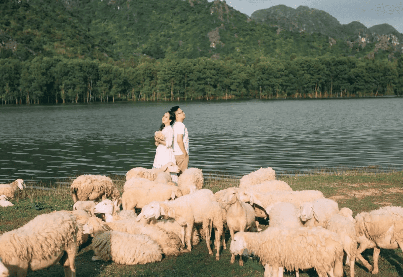 Thuê xe 29 chỗ Vĩnh Thạnh đi Vũng Tàu 2 ngày 1 đêm 